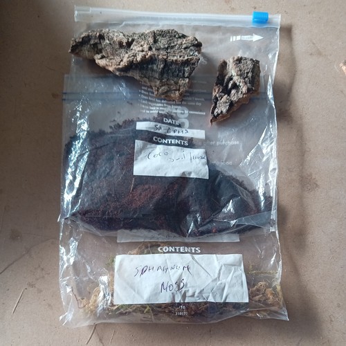 Invertebrate enclosure - invertebrate,
