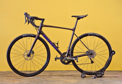 2021 giant contend - contend, ar2