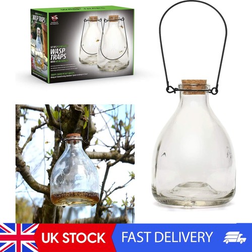 Set wasp trap catcher - set, 2