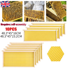 10 Pack Sturdy Langstroth