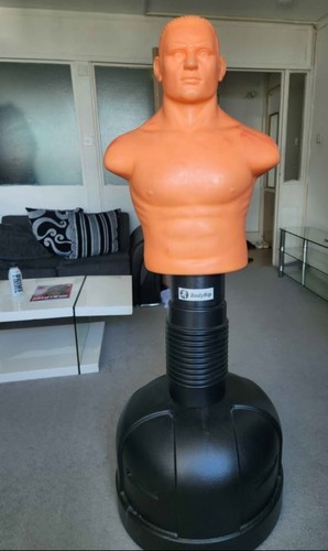 Bob freestanding punch kick