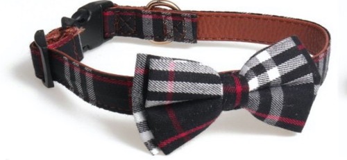 Dog collar original leather - dog,
