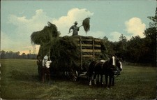 Farmers horse-drawn hay wagon ~ farm agriculture ~ c1910 postcard sku507