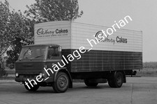 THH Truck Photos - Ford D