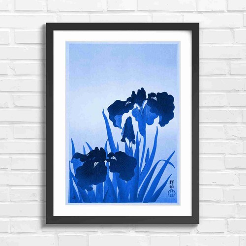Deep blue japanese - deep, blooms