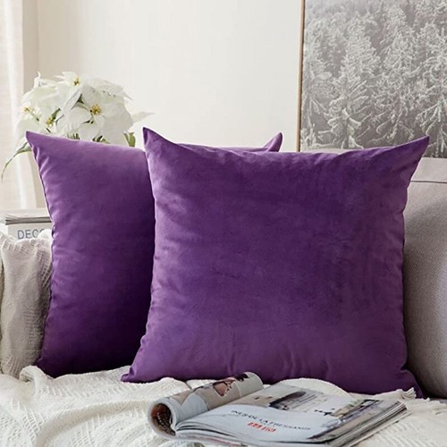 Plush velvet cushion covers - cushion,