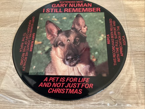 Gary numan still remember - -,
