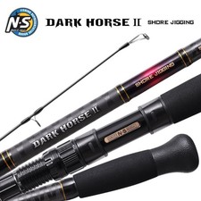NS Black Hole Shore Jigging