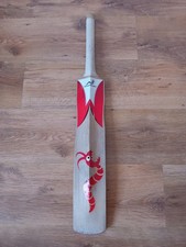 Woodworm Fireworm Flame Junior Cricket Bat
