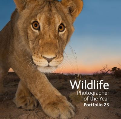 Wildlife photographer the - wildlife,