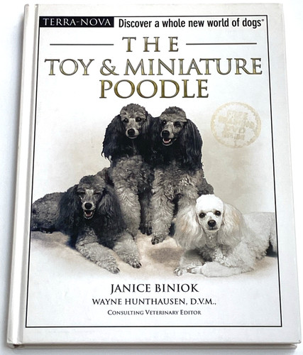 The toy and - and, poodle