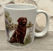 Flat Coated Retriever