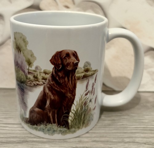 Flat coated retriever - coated,