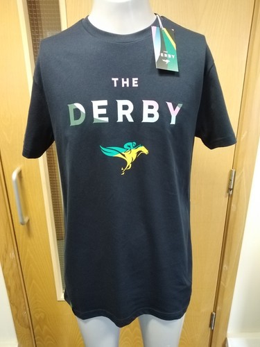 Horse racing the derby - horse,