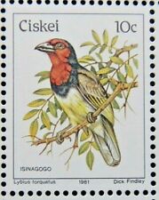 CISKEI 1981 SG14 10c. BIRDS - BLACK-COLLARED BARBET  -  MNH
