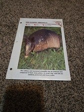 VTG Wildlife Fact File Cards -