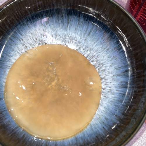 Kombucha starter scoby - scoby,