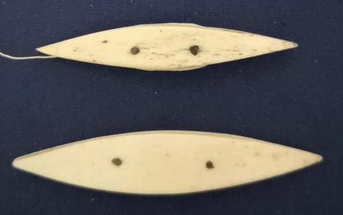 Pair antique bovine - pair, of
