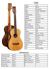 Guitar By Tanglewood, Model