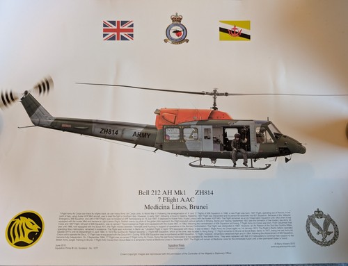 Squadron print 1077 bell 212 - print,