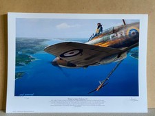 NO 2 signed ltd ed  249 sqd AVIATION art print Hurricane ace  James Nicholson VC