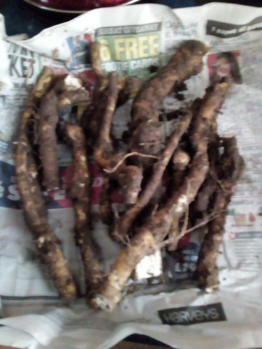 120g fresh horseradish root - 120g,
