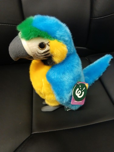 Blue macaw parrot - blue, wild