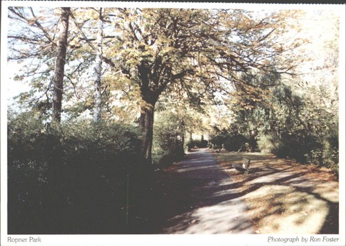 Stockton tees ropner - stockton-on-tees,,