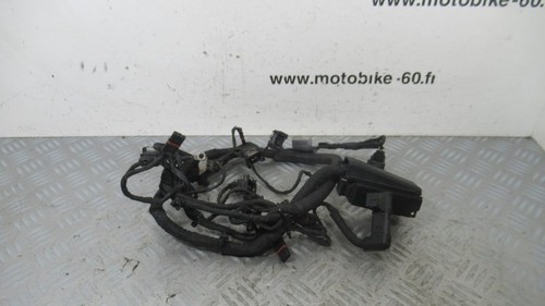 Bmw 650 engine harness - f, gs