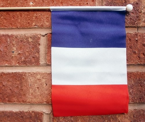 France hand waving flag - france,