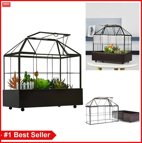 Large plant terrarium glass - large,