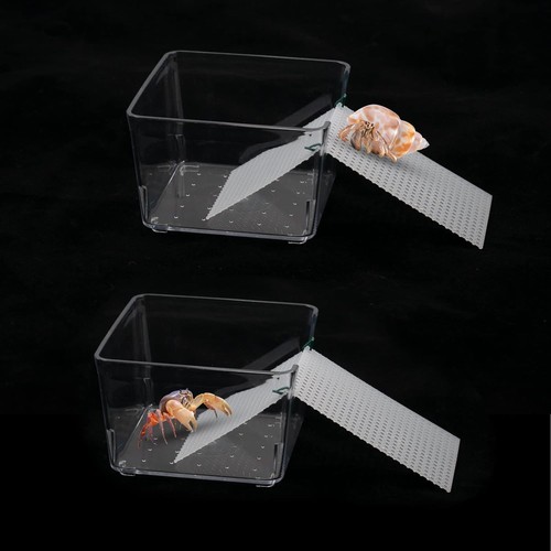 Pack hermit crab water tank - crab,