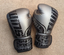 Twins Special 16oz boxing gloves