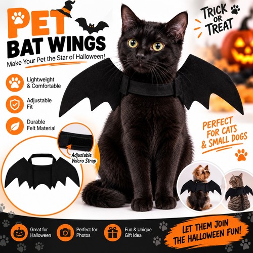 Pet cat dog bat - bat, wings