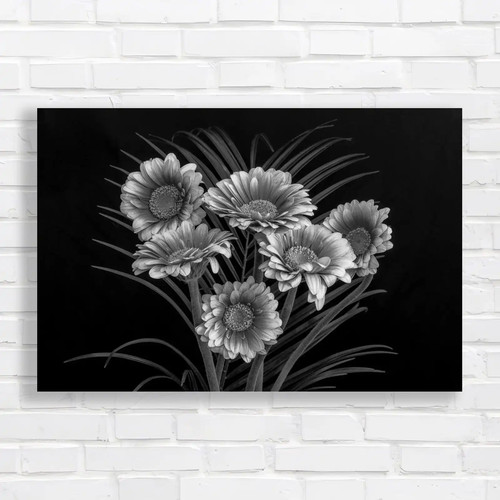 Vibrant gerbera daisy - vibrant, black