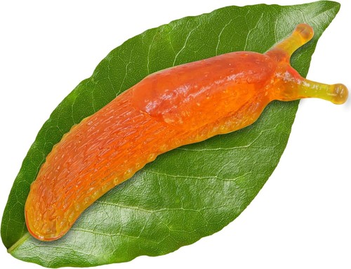 Super sticky orange - sticky,