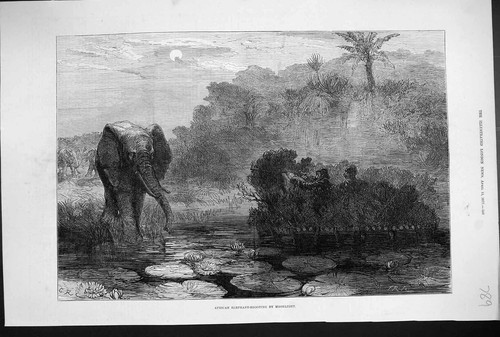 Original old antique print - original,