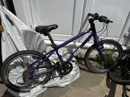 Frog premium kids bike - frog,
