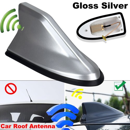 Universal gloss silver car - universal,