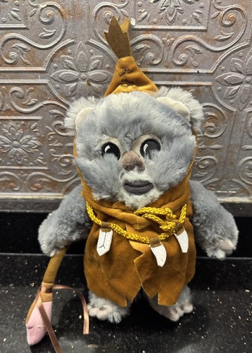Disney parks star - parks,
