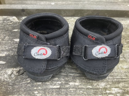 Cavallo cute little - clb,