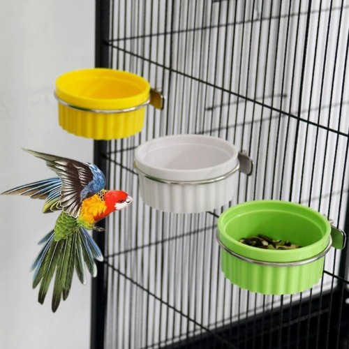 Bird water bowl parrot - water,