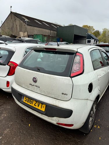Fiat punto 2011 - punto,