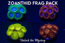 Zoanthid frag pack - frag, frags)
