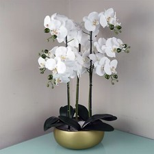 60cm Orchid Artificial White