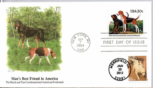2101 black tan coonhound - black, &