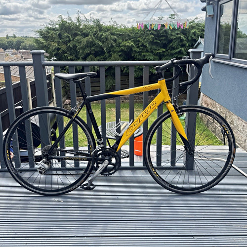 Carrera 6061 tdf - tdf, ltd