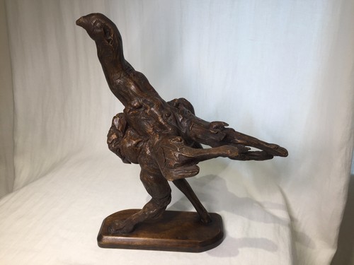 Rootwood bird pheasant - bird, /