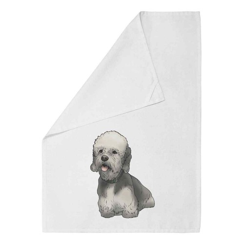 Dandie dinmont terrier - 'dandie, terrier'