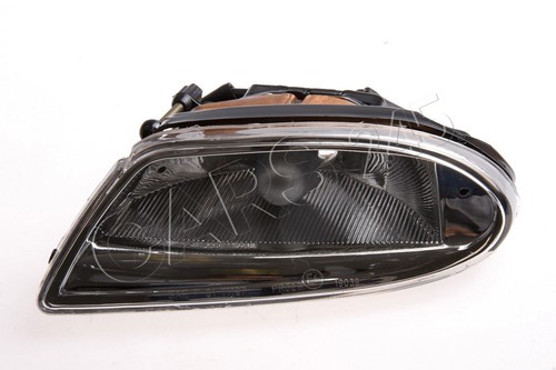 Fog driving light - n/s, fits